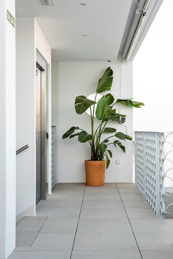 Apartamentos Y Estudios Centricos Conil Home Suite Conil De La Frontera Zewnętrze zdjęcie